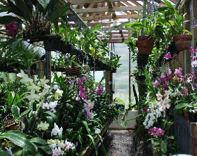 Greenhouse center