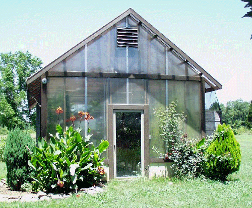 Our Greenhouse Summer 2005